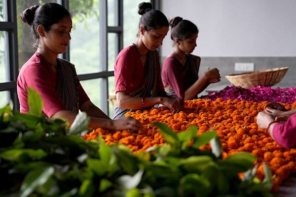 evolves—beautifully